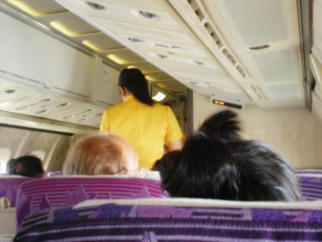 P7230110_resize.JPG